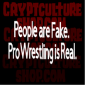 Gente de la lucha libre profesional Lucha libre falsa Vinilo decorativo real