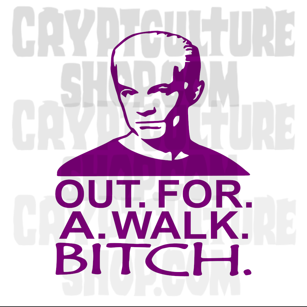 Buffy the Vampire Slayer Spike Out For a Walk Bitch Vinyl Decal