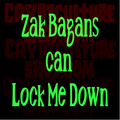 Calcomanía de vinilo de "Ghost Adventures" de Zak Bagans "Can Lock Me Down"